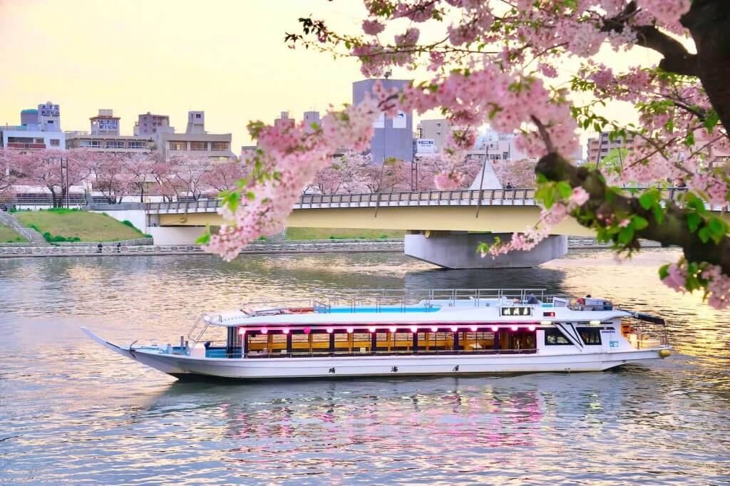Ngắm hoa anh đào trên sông Sumida sumida